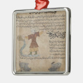 Aquarius en Pisces Metalen Ornament (Links)