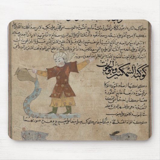 Aquarius en Pisces Muismat (Voorkant)