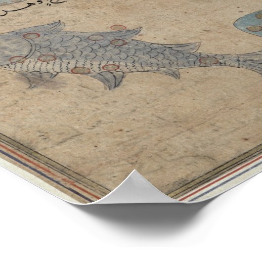 Aquarius en Pisces Poster (Hoek)