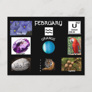 Aquarius februari Geboortemaand Briefkaart