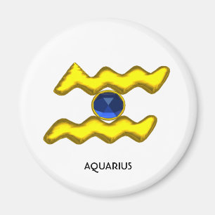 AQUARIUS/GOLD ZODIAC BIRTHDAY JEWEL MAGNEET