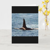 Aquarius Orca Aanpasbare Westkust Orka Kaart (Gele Bloem)