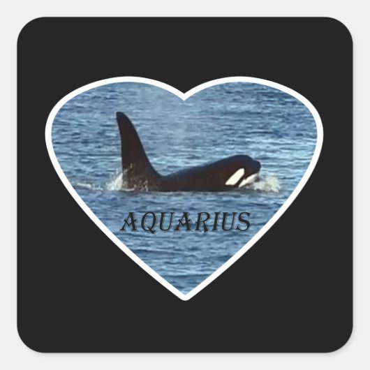 Aquarius Orca Killer Whale Vierkante Sticker (Voorkant)