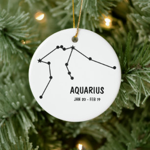 Aquarius Ornament