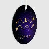 Aquarius Ornament (voorkant)