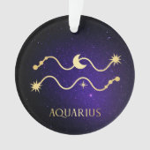 Aquarius Ornament (voorkant)
