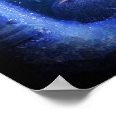 Aquarius Poster (Hoek)