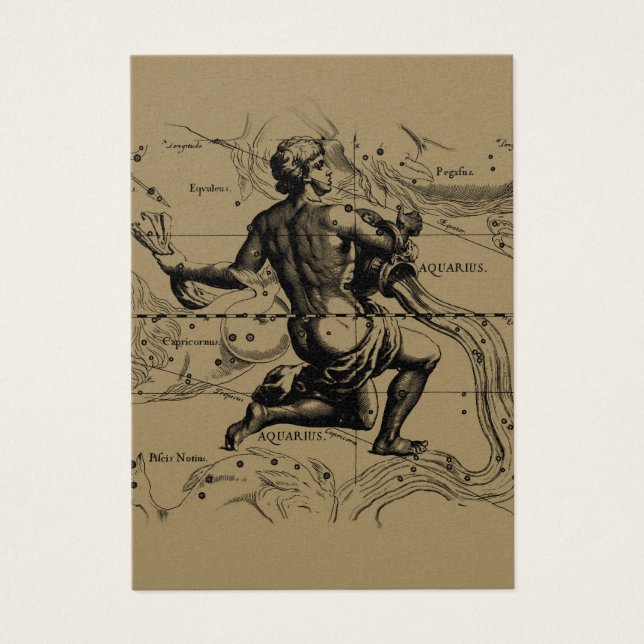 Aquarius sterrenbeeld kaart Hevelius 1690 op taupe (Voorkant)