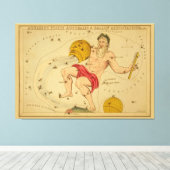 Aquarius -  teken van het Afbeelding van de dierso Canvas Afdruk (Insitu (Houten vloer))