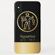Aquarius the Water Bearer Zodiac Black Gold