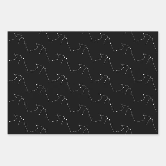 Aquarius Wrapping Paper Flat Sheet Set van 3 (Voorkant 3)