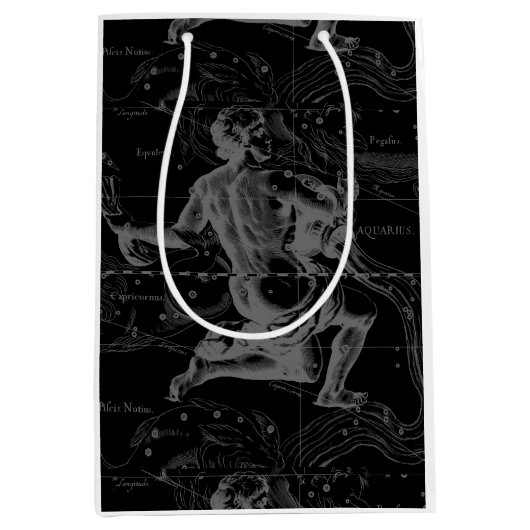 Aquarius Zodiac Constellation Engraving Hevelius Medium Cadeauzakje (Voorkant)