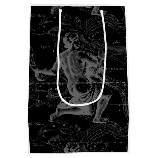 Aquarius Zodiac Constellation Engraving Hevelius Medium Cadeauzakje (Achterkant)