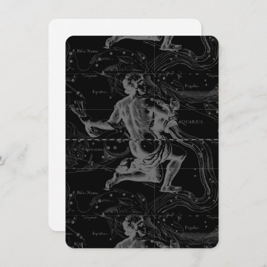 Aquarius Zodiac Constellation Hevelius 1690 (Voorkant / Achterkant)
