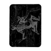 Aquarius Zodiac Constellation Hevelius 1690 Magneet (Verticaal)