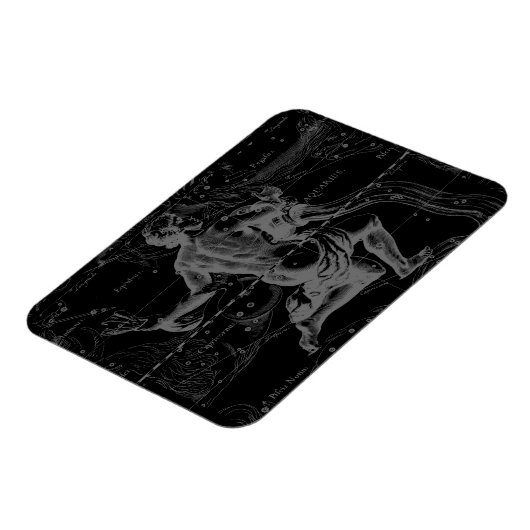 Aquarius Zodiac Constellation Hevelius 1690 Magneet (Linkerzijde)