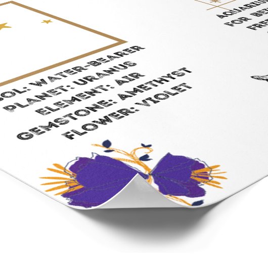 Aquarius Zodiac Poster (Hoek)