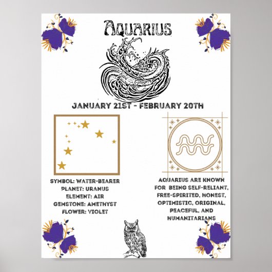 Aquarius Zodiac Poster (Voorkant)