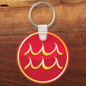 Aquarius - Zodiac Signs Sleutelhanger (Voorkant)