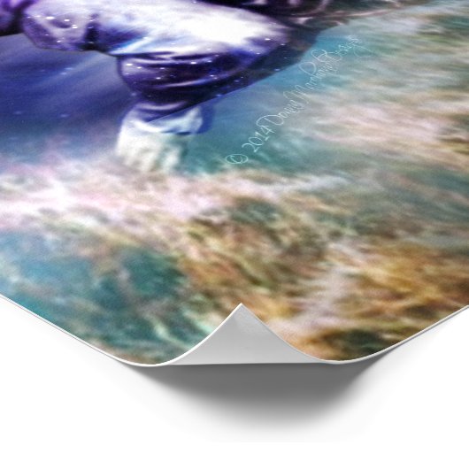 Aquariuskenmerken Poster (Hoek)