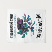 Aquascaping Therapy – Keep Calm and Plant Bucephal Wandkleed (Voorkant (horizontaal))