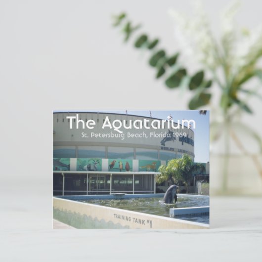 Aquatarium St. Pete Beach Briefkaart (Staand voorkant)