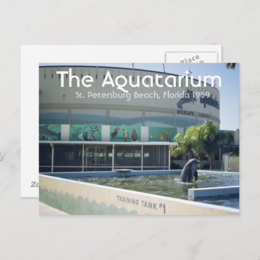 Aquatarium St. Pete Beach Briefkaart (Voorkant / Achterkant)