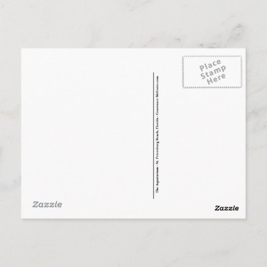 Aquatarium St. Pete Beach Briefkaart (Achterkant)