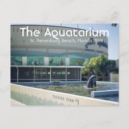 Aquatarium St. Pete Beach Briefkaart (Voorkant)