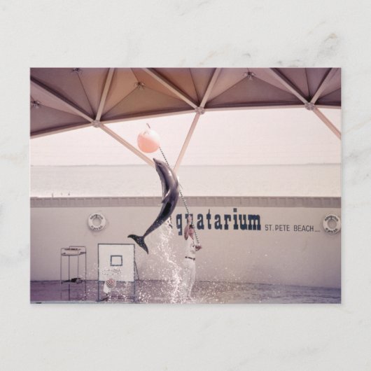 Aquatarium St. Pete Beach Briefkaart (Voorkant)