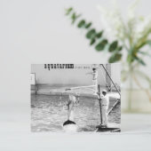 Aquatarium St. Pete Beach Florida, Dolfijn Briefkaart (Staand voorkant)