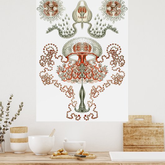 Aquatic Art ~ Jellyfish Poster (Keuken)
