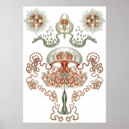 Aquatic Art ~ Jellyfish Poster