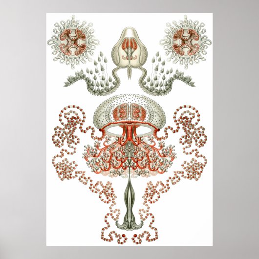 Aquatic Art ~ Jellyfish Poster (Voorkant)