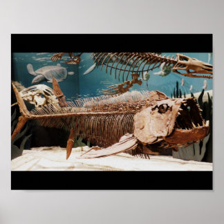 Aquatic Dino Poster