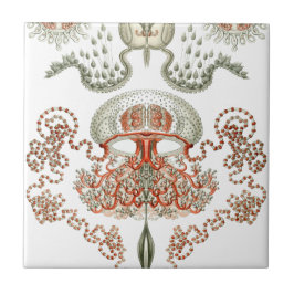 Aquatic Life ~ Haeckel ~ Jellyfish Ceramics Tegeltje