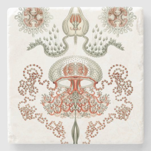 Aquatic Life ~ Haeckel ~ Jellyfish Stenen Onderzetter (Voorkant)