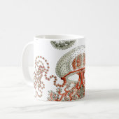 Aquatic Life Haeckel Kwallen Mok (Voorkant links)