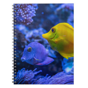 Aquatic Nautical Photography Marine Animal Photogr Notitieboek