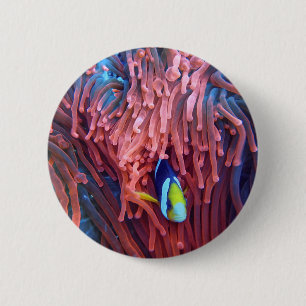Aquatic Nautical Photography Marine Animal Photogr Ronde Button 5,7 Cm