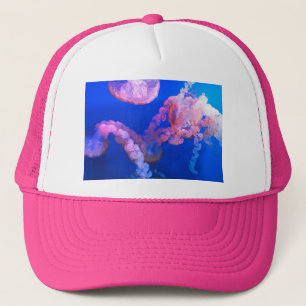 Aquatic Nautical Photography Marine Animal Photogr Trucker Pet