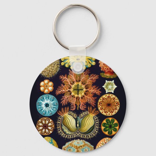 Aquatic Sealife Ernst Haeckel Ascidiae A01 Sleutelhanger (Voorkant)