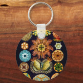 Aquatic Sealife Ernst Haeckel Ascidiae A01 Sleutelhanger (Voorkant)