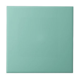 Aquaticstone Turquoise Square Kitchen en Bathroom Tegeltje