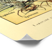  aquatisch leven door Adolphe Millot Poster (Hoek)