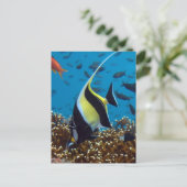 Aquatische dieren briefkaart (Staand voorkant)