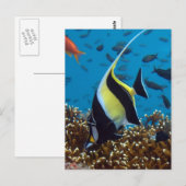 Aquatische dieren briefkaart (Voorkant / Achterkant)