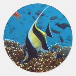 Aquatische dieren ronde sticker