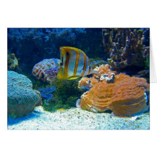 Aquatische Lanscape
