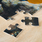 Aquatische puzzels Nautische foto's Marine Fish Pu (Zijkant)